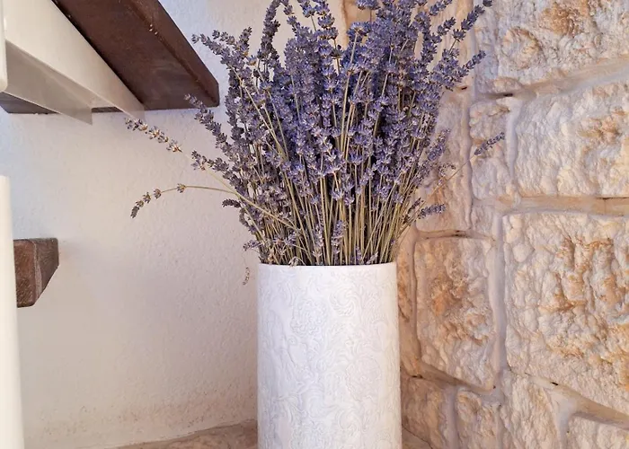 St Peter's Heritage House * Trogir