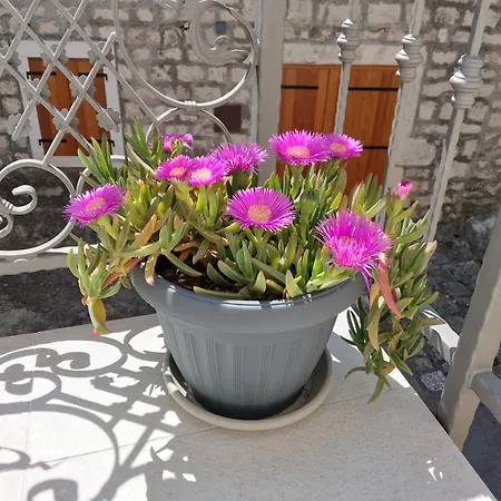 Nyaraló St Peter's Heritage House