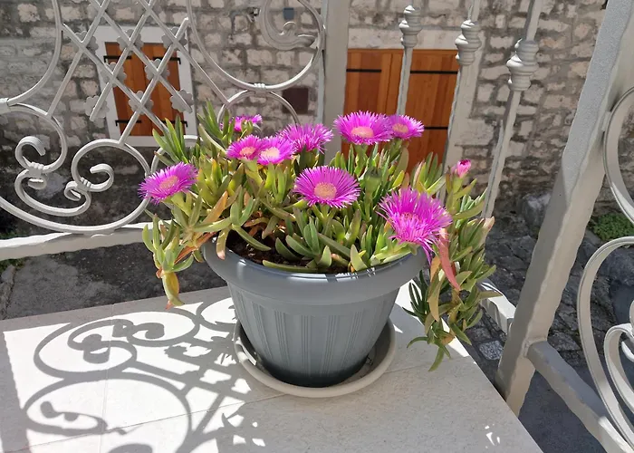 Hébergement de vacances St Peter's Heritage House